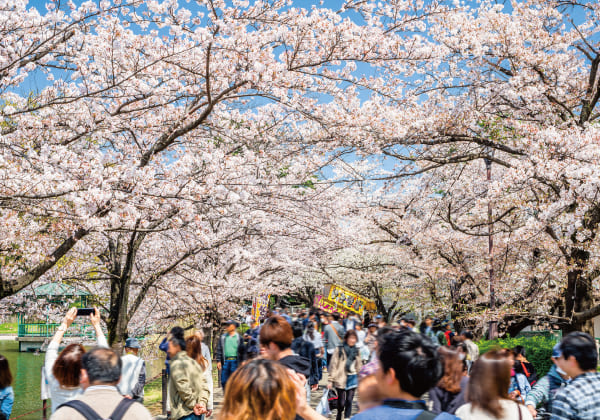 大宮公園