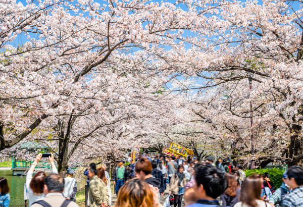 大宮公園