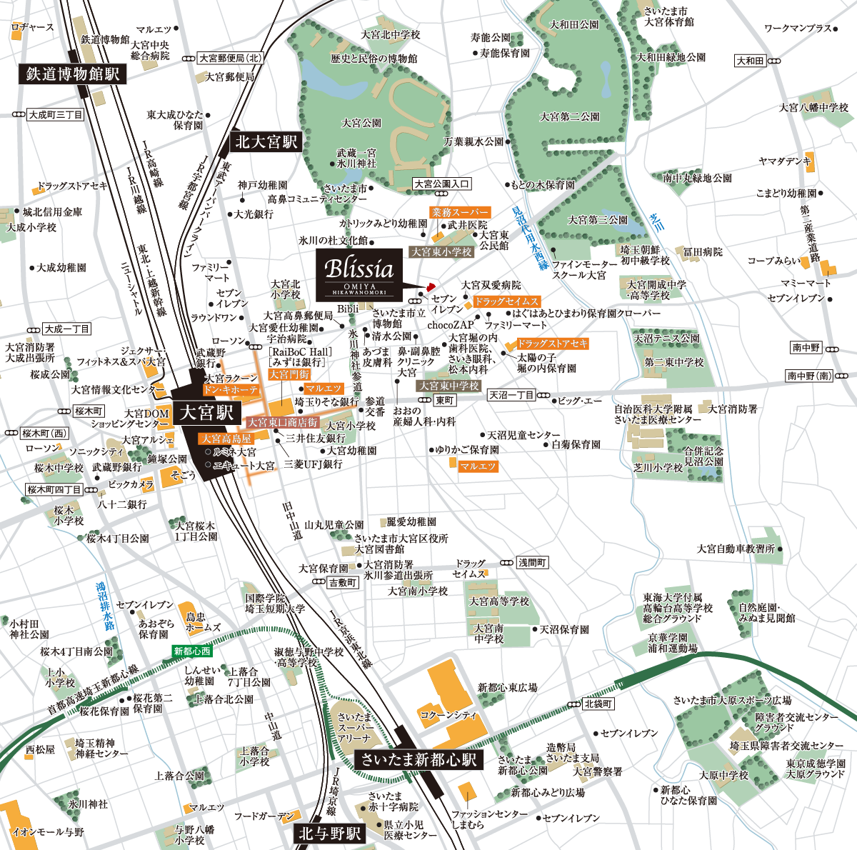 ブリシア大宮 氷川の杜 MAP